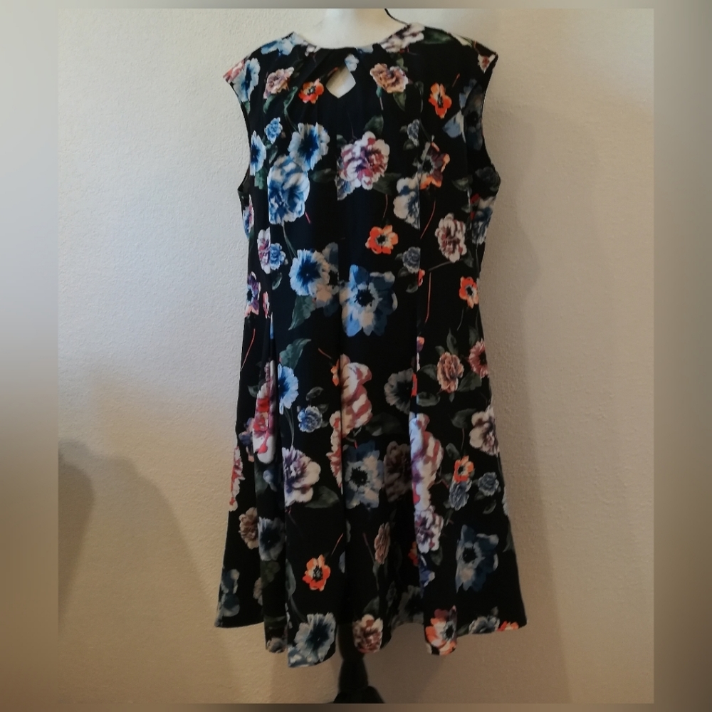 Roz & Ali Black Floral Sleeveless A-Line Dress